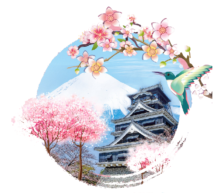 Best IPTV Package in Japan